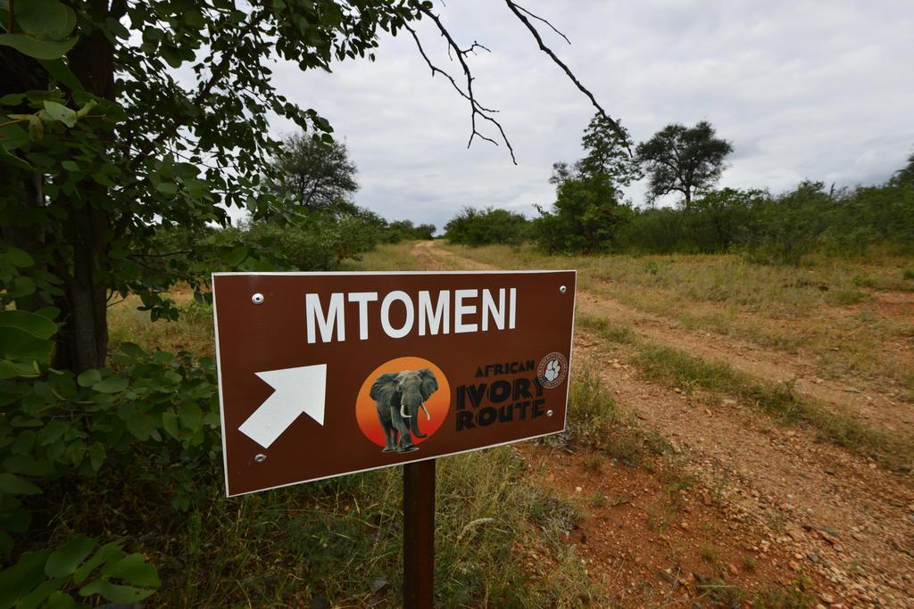 Готель Mtomeni Safari Camp Пгалаборва Екстер'єр фото